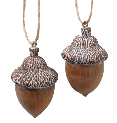 2 STK Deko Nuss Eichel 6cm Früchte Eicheln braun b496 Zapfen Weihnachtsdeko Herbst Deko Eichel Haselnüsse EDEL Dekofrüchte von RiloStore