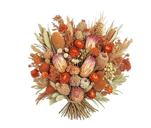 30 STK edel Exoten Protea pink rosa Natur braun o270 Naturdeko Trockendeko Gesteck Dekomaterial Herbstdeko Allerheiligen Weihnachtsdeko Blumen Trockenblumen Trauerfloristik Rosen Palmspeer von RiloStore