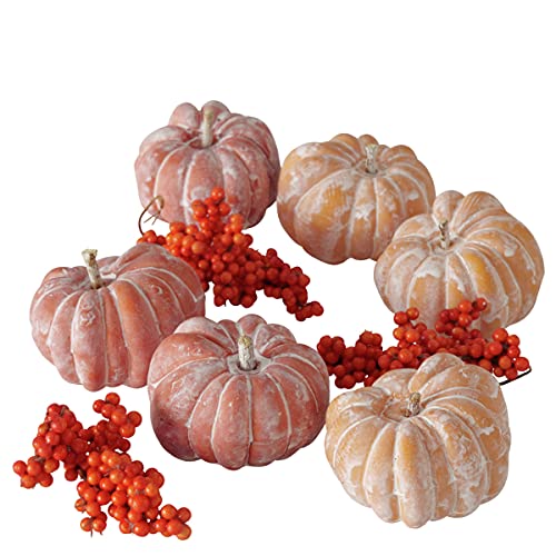 9 tlg Dekoset KÜRBISSE & BEEREN Herbstdeko Kürbis 6cm orange rot weiss Deko Halloween Autumn Herbstdeko Dekokürbis Dekoobjekt Tischdeko Dekofrüchte … von RiloStore