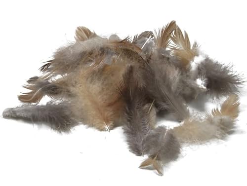 1 Pack Hühnerfedern 150 STK Osterdeko Basteln Federn Perlhuhn Federn Deko Ostern Feder Hühnerfedern ot788 Dekofedern von RiloStore