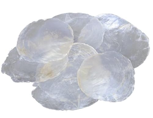 RiloStore 100 STK Perlmutt Scheiben Capizscheiben 5-7cm Perlmuttscheiben Natur Weiss TISCHKARTEN Namenskarten Muschelscheiben Capiz runde Perlmuttplatten Maritime Deko Muscheln von RiloStore