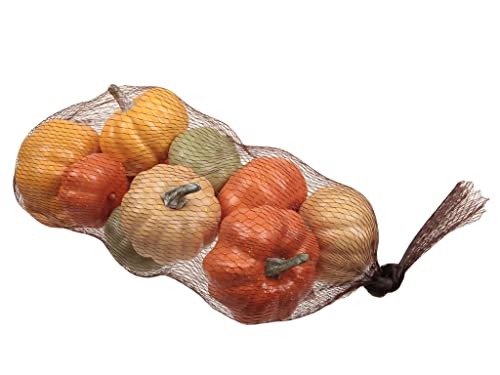 RiloStore 12 STK Kürbis Herbstdeko Kürbisse Dekokürbis 5-7cm Herbst Dekoration Dekoset Geschenkset o261 Basteln Früchte Dekokürbisse von RiloStore