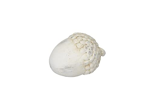 RiloStore 2 STK Deko Nuss Eichel Creme Weiss 8x6cm Früchte Eicheln ps110 Kunstharz Zapfen Herbstdeko Weihnachtsdeko Herbst Eicheln Haselnüsse EDEL Tischdeko von RiloStore
