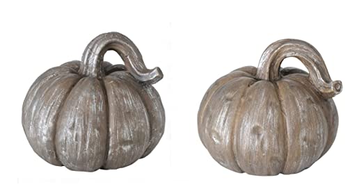 RiloStore 2 STK KÜRBIS Terrakotta DEKO Kürbisse Größe 14cm und 10cm grau Weiss Deko Halloween 724+205 Herbstdeko Dekokürbis Dekoobjekt Tischdeko Dekofrüchte von RiloStore