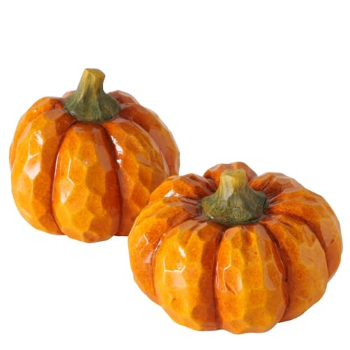 RiloStore 2 STK KÜRBIS Terrakotta DEKO Kürbisse b1190 Tischdeko orange Deko Halloween Dekokürbisse Herbstdeko Dekokürbis Dekoobjekt Tischdeko Dekofrüchte Partydeko von RiloStore