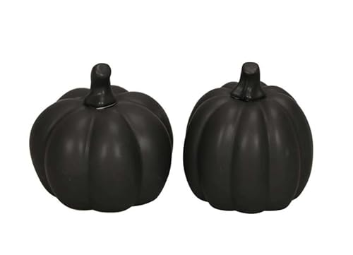 RiloStore 2 STK KÜRBIS 9cm schwarz Halloween Kürbisse Autumn Herbstdeko Dekokürbis Dekoobjekt Tischdeko Dekofrüchte Pumpkin Früchte Dekoration Herbst Gartendeko Balkondeko von RiloStore
