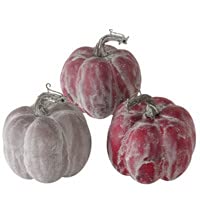 RiloStore 3 STK KÜRBIS DEKO Kürbisse nr2928 Weiss rot grau Weiss 10x8cm Shabby Chic Frost Deko Halloween Autumn Herbstdeko Dekokürbis Dekoobjekt Tischdeko Dekofrüchte von RiloStore