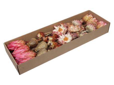 RiloStore 30 STK Exoten pink rosa Natur braun Naturdeko Trockendeko Gesteck Dekomaterial Herbstdeko Allerheiligen Weihnachtsdeko Blumen Trockenblumen Trauerfloristik Rosen Palmspeer Luffa Protea von RiloStore