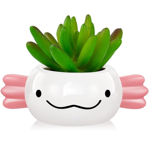 RimCereal Axolotl Pflanzgefäß Axolotl Geschenke für Männer und Frauen, niedliche Sukkulentententöpfe, Pflanztöpfe für Weihnachten, Schreibtisch, Büro, Heimdekoration, 15,2 x 5,9 cm von RimCereal