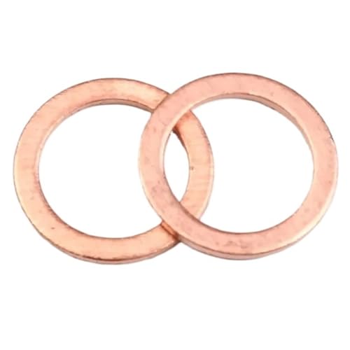 20 Stücke Kupfer Unterlegscheibe Flachring Dichtungssatz Feste Dichtung Tischset Schüssel Stecker Öldichtung Teile Werkzeug Montage Hardware Verschluss(6 x 10 x 1) von Rimmean
