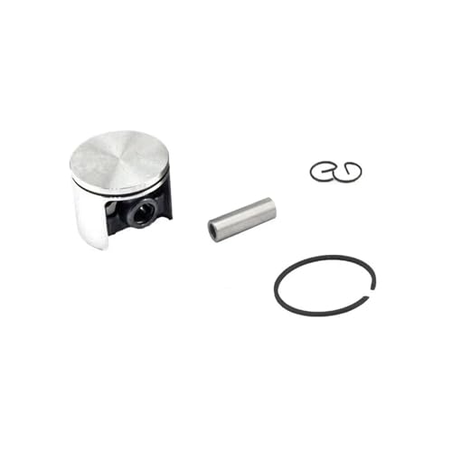 40mm Kolben Nadellager Kit Fit for STIHL FS 250 R Trimmer Pinsel Cutter Strimmer Teile Langlebig 40mm Kolben Nadellager Kit Fit for STIHL FS 250 R Trimmer Pinsel Cutter Strimmer Teile Langlebig von Rimmean