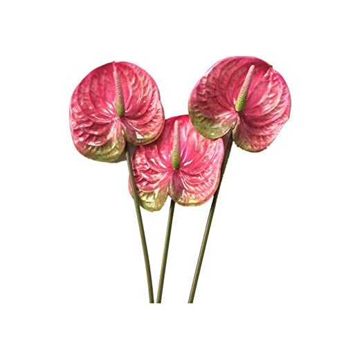 Rinteea 3 StüCk 22,8-KüNstliche Anthuriumblumen für Heimdekorationsblumenstrauß und GrüNes Blatt und Brauthochzeitsdekoration (Rosa) von Rinteea
