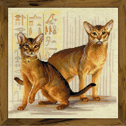 Riolis, Zählmuster Kreuzstich-Set Abessinierkatzen, Baumwolle, Mehrfarbig, 40 x 40 x 0.1 cm von Riolis