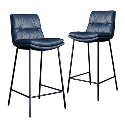 RiouPsithuric 2er-Set Moderne Barhocker in Thekenhöhe mit Rückenlehne, gepolsterte Stühle aus PU-Leder für Kücheninsel, Fußstütze, armloses Esszimmer, Pub und Heimdekor von RiouPsithuric