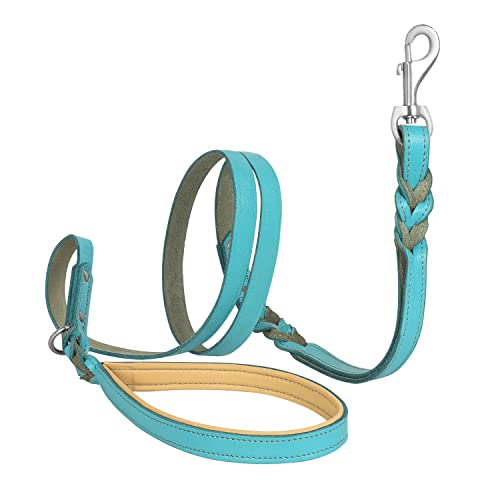 Riparo geflochtene Leder Hundeleine mit Zwei Griffen, gepolsterter Verkehrsgriff für zusätzliche Kontrolle, 1,8 m lang Hundetraining für mittlere und große Hunde (Aqua, M: 1,27 cm x 1,8 m) von Riparo Motorsports