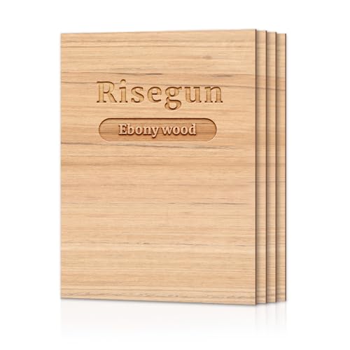 Risegun Sperrholzplatte, 4 Stück A4 Sperrholz 297 x 210 x 3mm Dünne Holzplatten für DIY Handwerk, Brandmalerei, Modellbau von Risegun