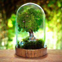 Handgemachtes Buddha Moos Terrarium Kit Zen Garten Ornament Handgemachtes Buddha Moos Terrarium Kit Zen Garten Ornament von RishStudio