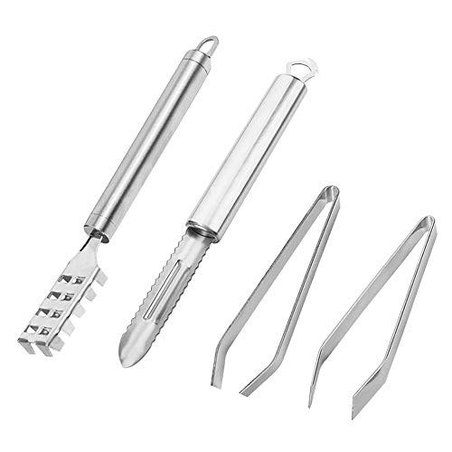 4 Stück Fisch Scaler Skala Entferner, Fisch Knochen Pinzette, Rutschfeste Edelstahl Flach und Schräge, Skala Remover Reiniger Scaler Scraper Schnelle Reinigung Fisch Edelstahl Fisch Skala Bürsten von Ritte
