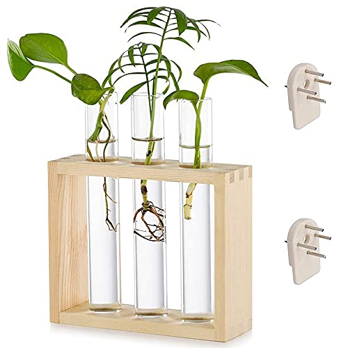 Reagenzglas Pflanzer, Glas Reagenzglas Blumenvase, Hydrokultur Pflanzen Mit Holzständer, Kann Holz Transparent Hängen Reagenzglasvase für Desktop Office Home Wanddekoration (3 Reagenzgläser) von Ritte