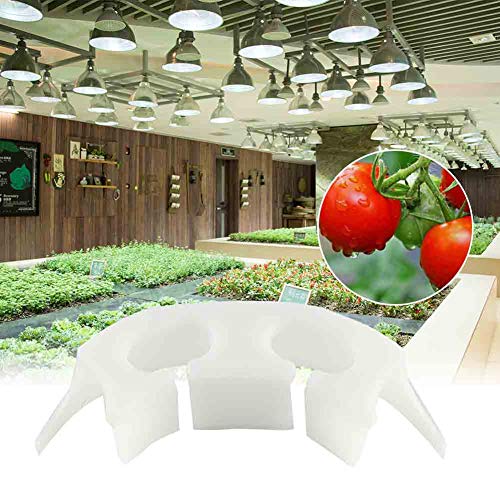 Riuulity Tomatenpflanzen Vine Verstärkte Clips Langlebige Fixklammern Zum Pflanzenschutz 100pcs für Obstpflanzwerkzeuge von Riuulity