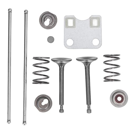 Riuulity Ventilplatten-Schutzabdeckungs-Set, Rasenmäher-Ventilfeder-Abdeckungs-Set aus Eisen und Aluminium, Passend für GX160 GX200 5,5 PS 6,5 PS Rasenmäher-Motor von Riuulity