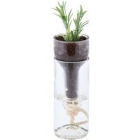 2 Stück Rivanto® Selbstbewässernder Pflanztopf aus Glas, 2-teilig, Ø 7,5 x 21 cm, attraktiver Blumentopf, Flaschentopf von Rivanto