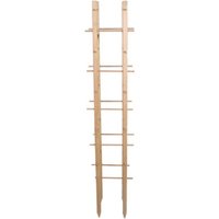 Rivanto® Holz Rankturm 30 x 30 x H150 cm, Pflanzenstütze, FSC-Holz, Pflanzen-Rankhilfe für Gemüse, Blumen, Sträuchern von Rivanto