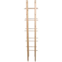 Rivanto® Holz Rankturm 30 x 30 x H150 cm, Pflanzenstütze, FSC-Holz, Pflanzen-Rankhilfe für Gemüse, Blumen, Sträuchern von Rivanto