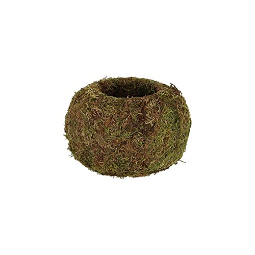Rivanto® Kokedama Kugel aus Moos, Größe M Ø14,5 x 10 cm, Grün, natürlicher Pflanztopf, Wohnzimmer Dekoration von Rivanto