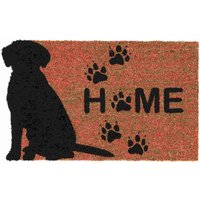 Rivanto® Türmatte Kokos Hund Home 74,5 x 45,4 x 1,7 cm Kokosfaser/PVC, Braun, Fußabstreifer, Schuhablage von Rivanto