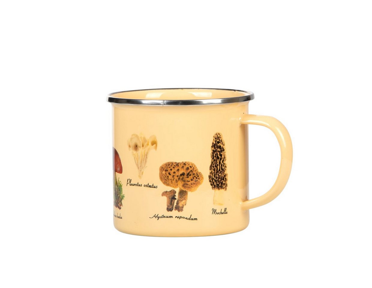 Rivanto Becher, Metall, Emaille, Emaille Becher Pilze Ø10 x Höhe 9 cm Trinkbecher für Camping & Ausflüg Rivanto Becher, Metall, Emaille, Emaille Becher Pilze Ø10 x Höhe 9 cm Trinkbecher für Camping & Ausflüg von Rivanto