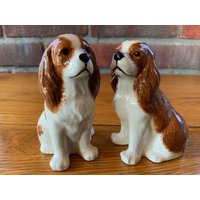 Cavalier King Charles Spaniel Salz Und Pfeffer Töpfe Blenheim Menage Set Cavalier King Charles Spaniel Salz Und Pfeffer Töpfe Blenheim Menage Set von RiverbankArt