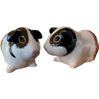 Meerschweinchen Salz Und Pfeffer Set Handbemalte Keramik, Geschenkverpackung Meerschweinchen Salz Und Pfeffer Set Handbemalte Keramik, Geschenkverpackung von RiverbankArt