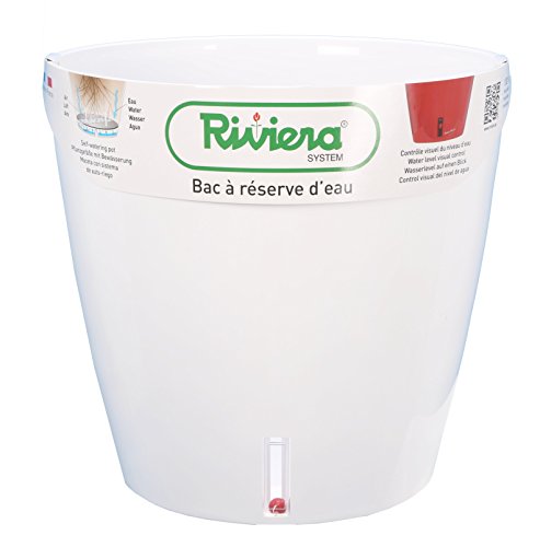 Riviera EVA NEW rund 6331 von Riviera