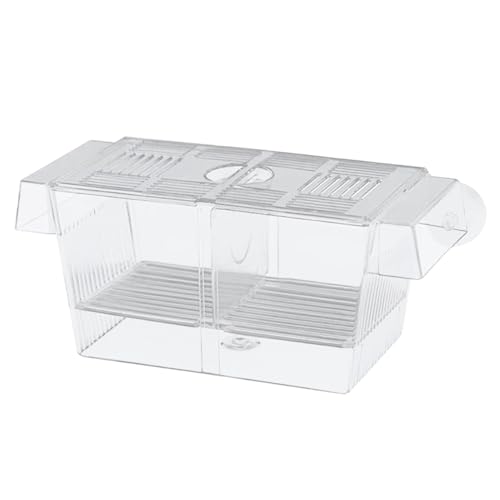 Aufzuchtbecken Aquarium Acrylic Laichkasten für Aquarium mit Saugnäpfen Ablaichkasten Aquarium Groß für Guppy Tropical Fish Babyfische Garnelen von Rixotix