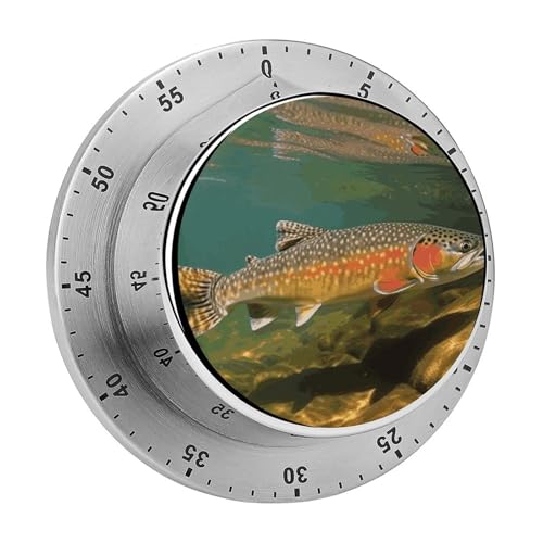 Brook Trout Fly Fishing Timer Küchentimer zum Kochen, magnetische Timer, keine Batterien, magnetische Rückenlehne, Countdown-Timer für Klassenzimmer, Zuhause, Studium und Kochen Brook Trout Fly Fishing Timer Küchentimer zum Kochen, magnetische Timer, keine Batterien, magnetische Rückenlehne, Countdown-Timer für Klassenzimmer, Zuhause, Studium und Kochen von Rkklvbns
