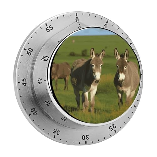 Esel auf grüner Wiese, Küchentimer zum Kochen, magnetische Timer, keine Batterien, magnetische Rückenlehne, Countdown-Timer für Klassenzimmer, Zuhause, Studium und Kochen Esel auf grüner Wiese, Küchentimer zum Kochen, magnetische Timer, keine Batterien, magnetische Rückenlehne, Countdown-Timer für Klassenzimmer, Zuhause, Studium und Kochen von Rkklvbns