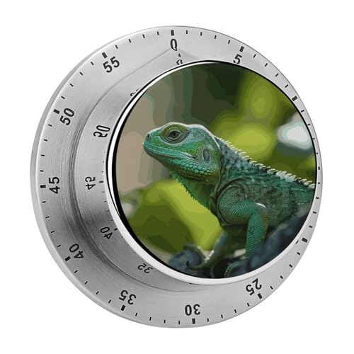 Green Lizard Timer Küchentimer zum Kochen, magnetische Timer, keine Batterien, magnetische Rückenlehne, Countdown-Timer für Klassenzimmer, Zuhause, Studium und Kochen Green Lizard Timer Küchentimer zum Kochen, magnetische Timer, keine Batterien, magnetische Rückenlehne, Countdown-Timer für Klassenzimmer, Zuhause, Studium und Kochen von Rkklvbns