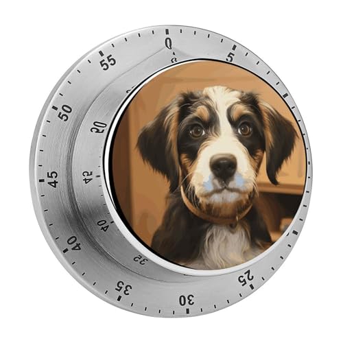 Hundetraining-Timer, Küchentimer zum Kochen, magnetische Timer, keine Batterien, magnetische Rückenlehne, Countdown-Timer für Klassenzimmer, Zuhause, Studium und Kochen Hundetraining-Timer, Küchentimer zum Kochen, magnetische Timer, keine Batterien, magnetische Rückenlehne, Countdown-Timer für Klassenzimmer, Zuhause, Studium und Kochen von Rkklvbns