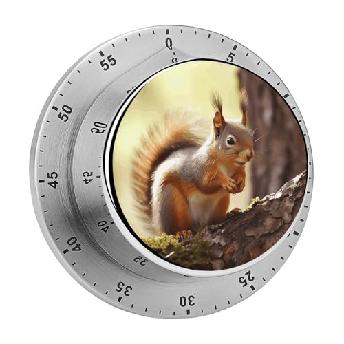 Lustiger Eichhörnchen-Timer, Küchentimer zum Kochen, magnetische Timer, keine Batterien, magnetische Rückenlehne, Countdown-Timer für Klassenzimmer, Zuhause, Studium und Kochen Lustiger Eichhörnchen-Timer, Küchentimer zum Kochen, magnetische Timer, keine Batterien, magnetische Rückenlehne, Countdown-Timer für Klassenzimmer, Zuhause, Studium und Kochen von Rkklvbns