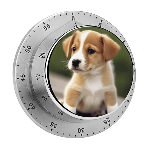Niedlicher Welpen-Timer für Hunde, Küchentimer zum Kochen, magnetische Timer, keine Batterien, magnetische Rückenlehne, Countdown-Timer für Klassenzimmer, Zuhause, Studium und Kochen Niedlicher Welpen-Timer für Hunde, Küchentimer zum Kochen, magnetische Timer, keine Batterien, magnetische Rückenlehne, Countdown-Timer für Klassenzimmer, Zuhause, Studium und Kochen von Rkklvbns