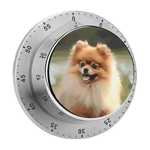 Pomeranian Hunde-Timer Küchentimer zum Kochen, magnetische Timer, keine Batterien, magnetische Rückenlehne, Countdown-Timer für Klassenzimmer, Zuhause, Studium und Kochen Pomeranian Hunde-Timer Küchentimer zum Kochen, magnetische Timer, keine Batterien, magnetische Rückenlehne, Countdown-Timer für Klassenzimmer, Zuhause, Studium und Kochen von Rkklvbns