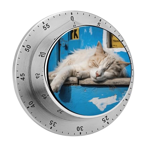 Sleeping Little Cat Timer Küchentimer zum Kochen, magnetische Timer, keine Batterien, magnetische Rückenlehne, Countdown-Timer für Klassenzimmer, Zuhause, Studium und Kochen Sleeping Little Cat Timer Küchentimer zum Kochen, magnetische Timer, keine Batterien, magnetische Rückenlehne, Countdown-Timer für Klassenzimmer, Zuhause, Studium und Kochen von Rkklvbns