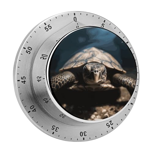 Tier-Schildkröten-Timer, Küchentimer zum Kochen, magnetische Timer, keine Batterien, magnetische Rückenlehne, Countdown-Timer für Klassenzimmer, Zuhause, Studium und Kochen Tier-Schildkröten-Timer, Küchentimer zum Kochen, magnetische Timer, keine Batterien, magnetische Rückenlehne, Countdown-Timer für Klassenzimmer, Zuhause, Studium und Kochen von Rkklvbns
