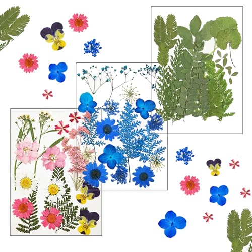 52 Stück Getrocknete Blumen, Trockenblumen Zum Basteln, Getrocknete gepresste Blumen für Harz, Natürliche Gepresste Blumen, für Kunst Basteln DIY Harz Kerze Scrapbooking Handwerk Karten Machen von Rkllejs