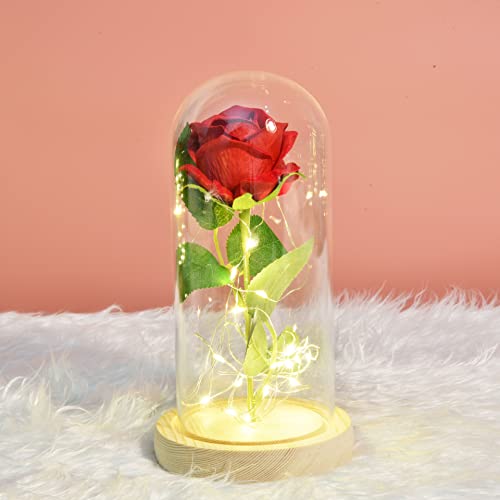 Schönheit und das Biest Rose,Ewige Roses Licht Seidenrose Künstliche Blume mit LED-Licht und Glaskuppel auf Holzsockel Erhaltene Romantische Seidenrose zum Muttertag Valentinstag Hochzeitstag von Rmeet