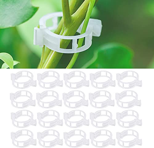 RoadLoo Pflanzenclips,300Stk Pflanzenklammern Tomatenclips Kunststoff Tomatenklammern für Kletterpflanzen Pflanzen Clips Blumen klammern für Gemüse Tomate Pflanzen Befestigung von RoadLoo