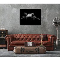 Leinwanddruck - Black & White Leaping Jumping Spider von RoarshackDesigns