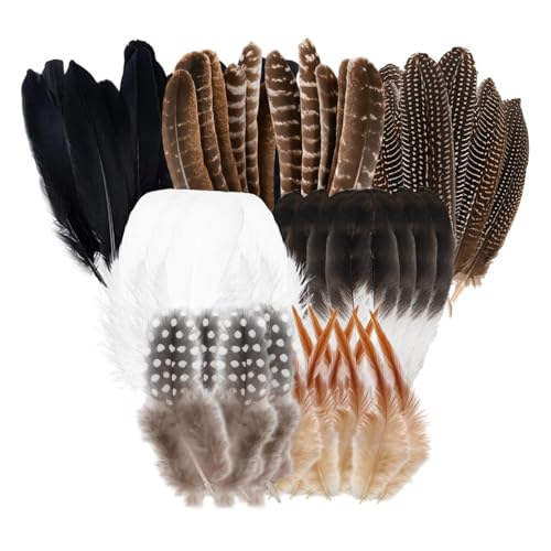 RobLuX 90 Stück Federn Natur Dekoration Lang Fasan Feder 7 Stile Federn zum Basteln Halloween Dekoration für DIY Traumfänger Masken Party Bastelbedarf von RobLuX