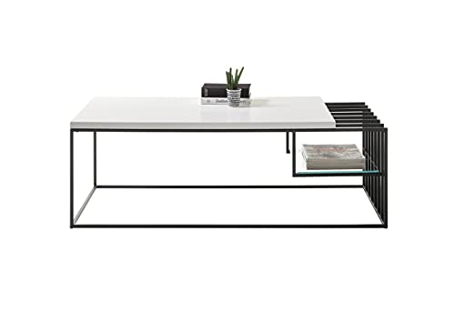 Robas Lund Couchtisch Weiß matt lackiert, Gestell Metall schwarz BxHxT 120x40x60 cm von Robas Lund